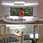 10 Reasons to Plant a Rosemary Hedge (& How to Do It)