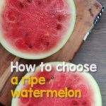 Mosquito Repellent Plants: The 10 Best Repellent Plants for Your Garden