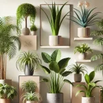 Put This On for 1 Hour in Your House – You Will Never See Flies, Mosquitoes, or Cockroaches Again!