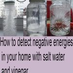 The Surefire Trick to Making Geraniums Bloom Profusely: Turn Them Into a Flower Factory 🌺🌿