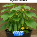 Do you suffer from nail fungus? You should absolutely do this! Very important council