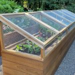 18 foods that thrive in cheap 5-gallon buckets