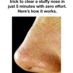 A Collection Of 10 Raised Garden Beds That Will Blow Your Mind