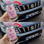 Creative And Fun DIY Garden Stepping Stone Ideas