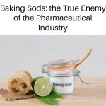 10 Plants That Keep Spiders, Ants, Flies, and Mosquitoes Away from Your Home