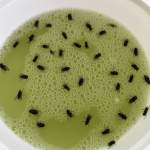 What Are Eye Floaters? Here’s What to Do If You Start Seeing Them