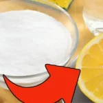 10 Plants That Keep Spiders, Ants, Flies, and Mosquitoes Away from Your Home