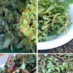 The Hidden History Behind Coin Ridges