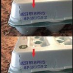 Unlocking the Hidden Potential of the Banana Stalk