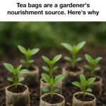 Cinnamon isn’t just for the kitchen. Here are 10 reasons to use cinnamon in your garden.