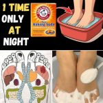 Bedbugs: the ingredient in your cupboards (and the garden) that helps eliminate them in record time