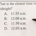 Woman Glues Dollar Store Flowers to 3 Styrofoam Balls – You Won’t Believe the Gorgeous Décor She Creates