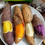 How to Grow GIANT Basil Bush