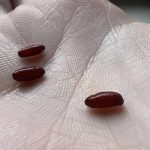 My Dad Showed Me a Trick to Keep Ants Out of the Kitchen Without Calling Pest Control—Here’s How It Works