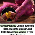 20 Top Gardening Hacks of All Time