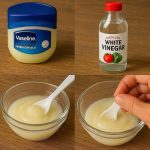 15 Plants That Can Grow Just in Water: The Ultimate Guide to Hydroponic Gardening