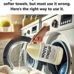 Stunning Raised Garden Beds To Enhance Your Landscaping