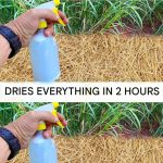 Decadent Banana Walnut Cake with Creamy Glaze: A Heavenly Treat