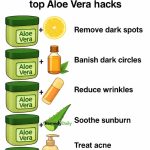 Magnificent!! 2 spoons can load so many flowers (any plant)