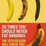 8 flowers you can grow with just water