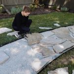 Mosquito Repellent Plants: The 10 Best Plants to Keep Your Garden Mosquito-Free Naturally