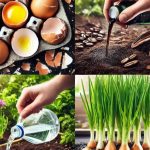 Mango Leaf Tea – A Natural Boost for Your Body and Mind