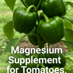 So Have You Ever Wondered Why Cockroaches Visit Your House?