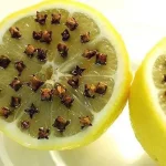 How to Water the Plants for a Month at No Cost