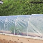 Put these 5 ingredients in the ground to grow stunning tomatoes quickly