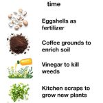 What It Means If You See Pink Slime in Your Bathroom