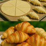 The Terracotta Pot Secret: How to Grow Thriving Rosemary Plants That Never Turn Brown