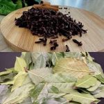 How to Build a Walipini Greenhouse for Growing Year-Round