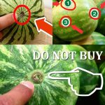 How to Grow Carrots in Containers: Begin with Just One Simple Step!