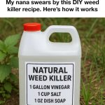 22 Ingenious Ways To Give New Life To Old Buckets