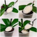 My nana taught me this hack to get rid of green pool algae in 5 mins with 0 work. Here’s how it works