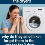 “My Grandma Used To Add Pepper To Her Laundry. Here’s Why”