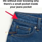 Rosemary: The “Natural Morphine” Touted for Pain Relief