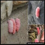 The True Meaning Behind Green Porch Lights: What This Powerful Symbol Really Stands For