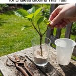 How to Get Rid of Grease Stains on a Sweatshirt (Even After Washing and Ironing)