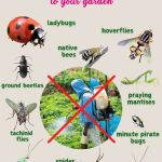 Plant empty bottles in your flower beds and prepare for a stunning surprise at sunset