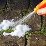 DIY Cucumber Trellis Ideas To Maximize Your Garden’s Potential