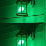 Best fertilizer for your plants