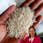 Pinecones are one of nature’s most useful (and underused) garden tools