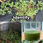 10 Useful Home And Garden Ideas Using Old Tires