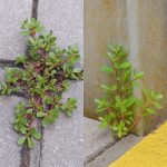 No way… I had zero idea!