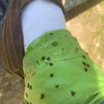 Why People Keep A Roll Of Toilet Paper In Their Fridge