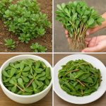 Strange DIY Backyard Christmas Tree Ideas For An Impressive Look