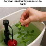 If You See A Plastic Bottle On Your Tire, Pay Close Attention