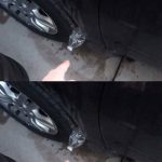 8 reasons why adding mint leaves to your toilet tank is a must-do trick