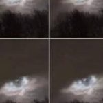 How to Get Rid of Spiders Inside Your House